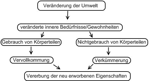 Evolutionstheorie Darwin Kurz Evolutionstheorie Darwin Kurz