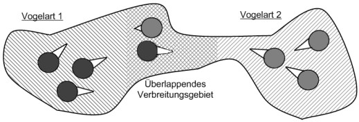 Kontrastbetonung bei Vögeln