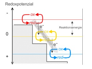 Redoxpotenzial