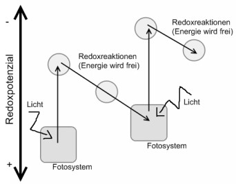 Redoxpotenzial2 Redoxpotenzial2